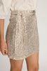 Ashtyn Skirt in Champagne Sequin